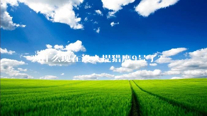 为什么现在没人提猎鹰9号了？