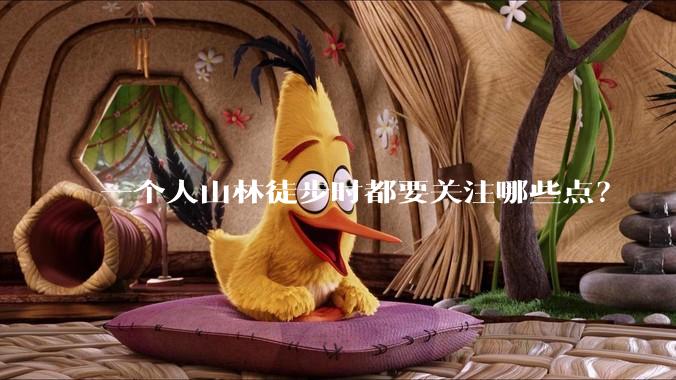 一个人山林徒步时都要关注哪些点？